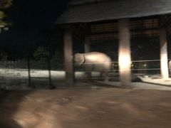 -清迈夜间动物园