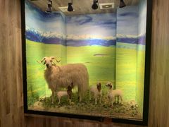 -清真·益鑫羊肉手抓馆(花园北街店)