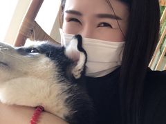 -Husky Go! 哈士奇体验馆·宠物咖啡厅狗咖