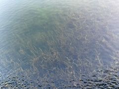 -四海公园(南山区)