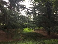 -陕西自然博物馆