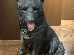 -滨千鸟之汤 海舟