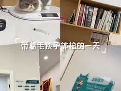 -瑞派康怡24h宠物医院·犬猫医疗中心·微创绝育(瑞景分院)