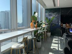-马泷齿科·成都锦江置略马泷口腔门诊部(IFS国金中心店)