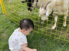 -杭州开元森泊度假乐园