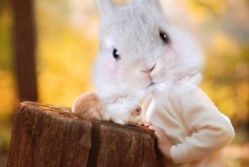 -西瓜庄园儿童摄影