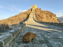 -司马台长城