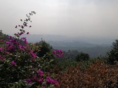 -火炉山森林公园