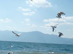 -月亮湾湿地公园