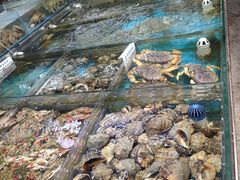 -87号烧烤海鲜·大排档(金沙滩店)