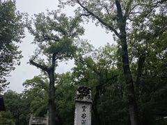 -灵谷景区