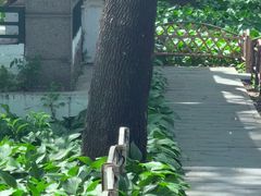 -黑龙江省森林植物园