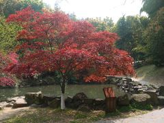 android_upload_pic-穹窿山景区