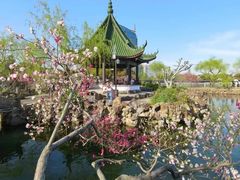 -无锡蠡湖国家湿地公园-蠡园