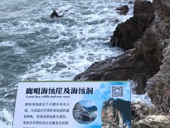 -杨梅坑