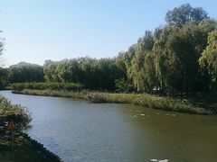 -大兴滨河森林公园