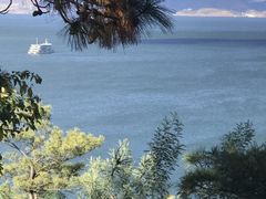 -洱海月湿地公园