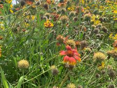 -永定河休闲森林公园