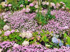 -首开·龙湖成都西宸天街