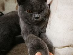 -猫和宫(六道口店)
