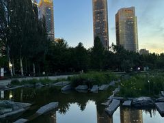 -大望京公园