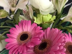 -循礼门鲜花花市(武汉循礼门店)