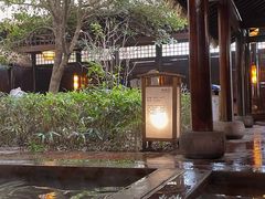 -洪湖悦兮半岛国际温泉度假村