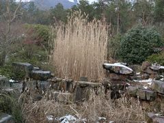 -十里长山生态农业公司