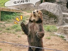 -杭州野生动物世界