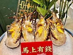 -喜聚薈·花膠雞海鮮火鍋(越秀店)