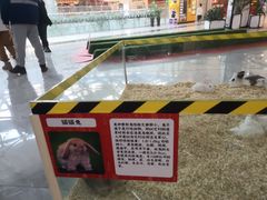 -凯德广场(学府店)