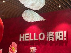 -老雒阳面馆·水席洛阳菜(王城路店)
