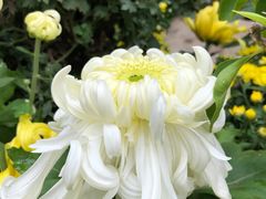 景点-无锡惠山寺