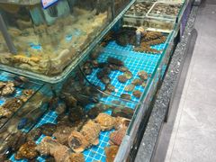 -渔码头食府·20年蓬莱老字号(登州路店)