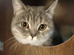 -白兔子密室(长寿路店)