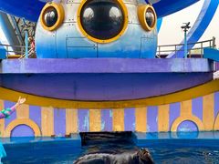 -海合安天津极地海洋公园