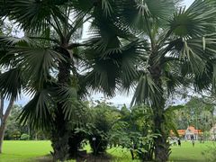 -中国科学院西双版纳热带植物园
