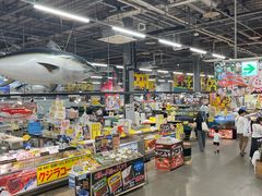 -南纪白浜Toretore市场