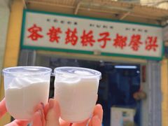 -洪馨椰子