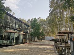 -桉树林A coffee 森林餐厅(三圣乡店)