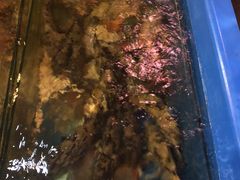 -灯笼馆海鲜餐厅