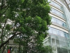 -复旦大学附属华山医院(总院)