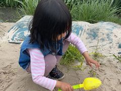 -永定河休闲森林公园