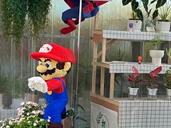 -三圣花乡旅游区