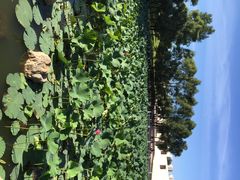 长春世界雕塑公园-长春世界雕塑园冰雪艺术天地