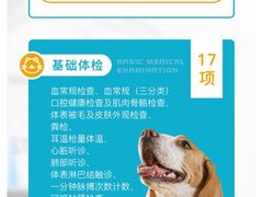 -安安宠医·臻爱宠物医院·宠保定点(营门口路分院)