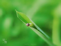 -碧桂园十里银滩