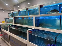 -渔家乐小海鲜(皇姑店)