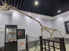 -游龙石文化科普馆