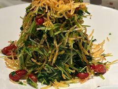 巧拌豆苗-四季民福烤鸭店(王府井灯市口店)